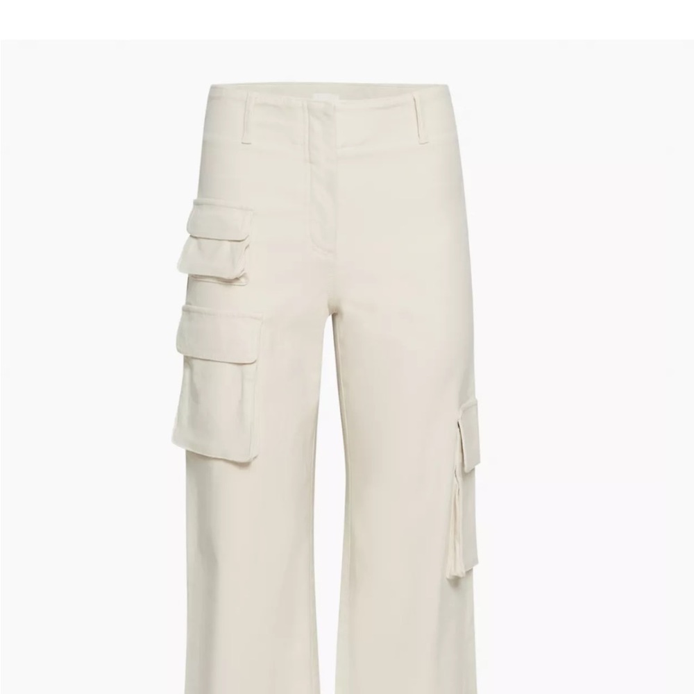 Aritzia picture cargo pants